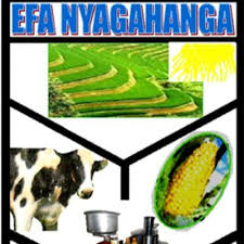 EFA nyagahanga