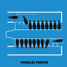 parlor