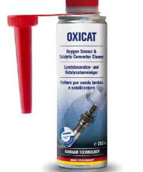 Catalytic converter cleaner