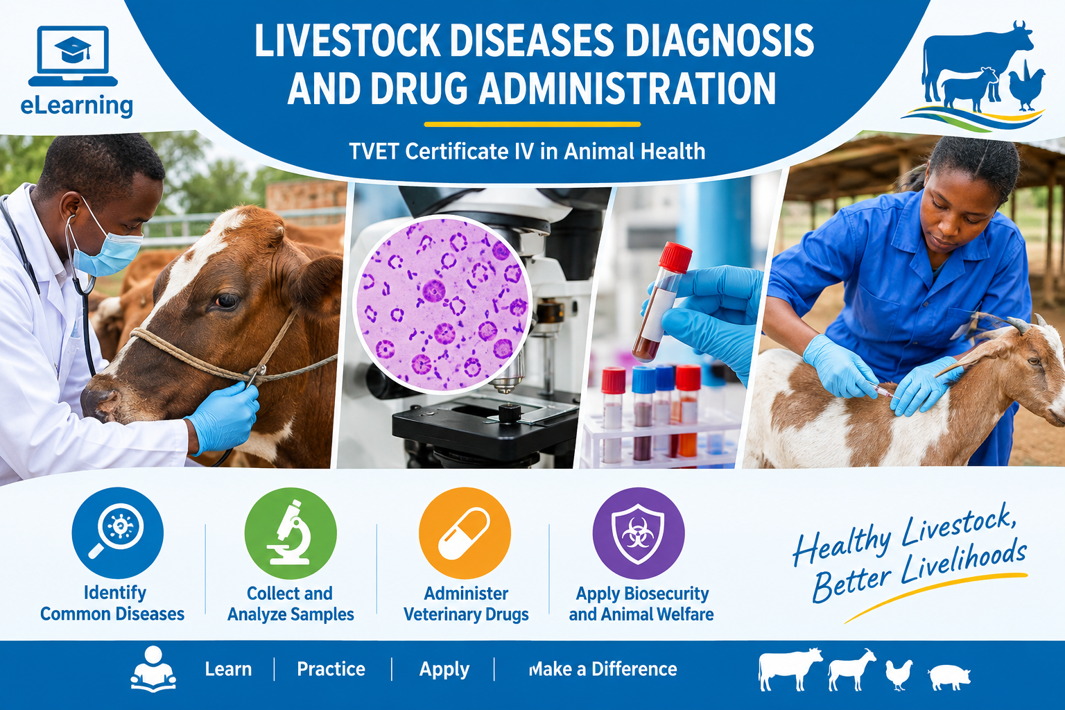 LIVESTOCK DISASES DIAGNOSIS AND DRUG ADMINISTRATION