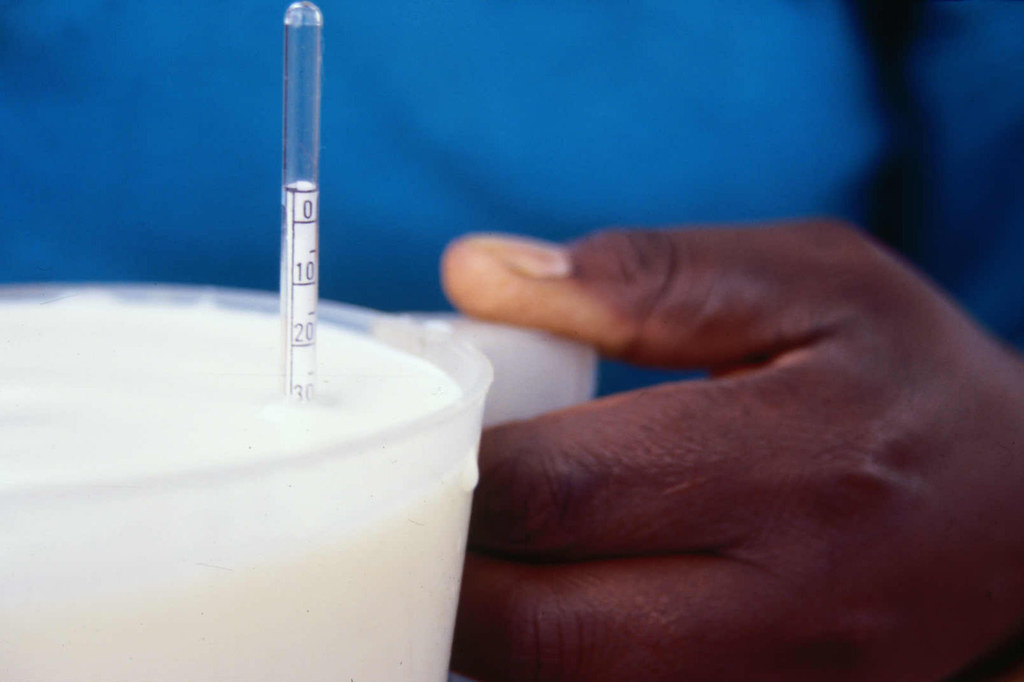 Testing raw milk with a lactometer