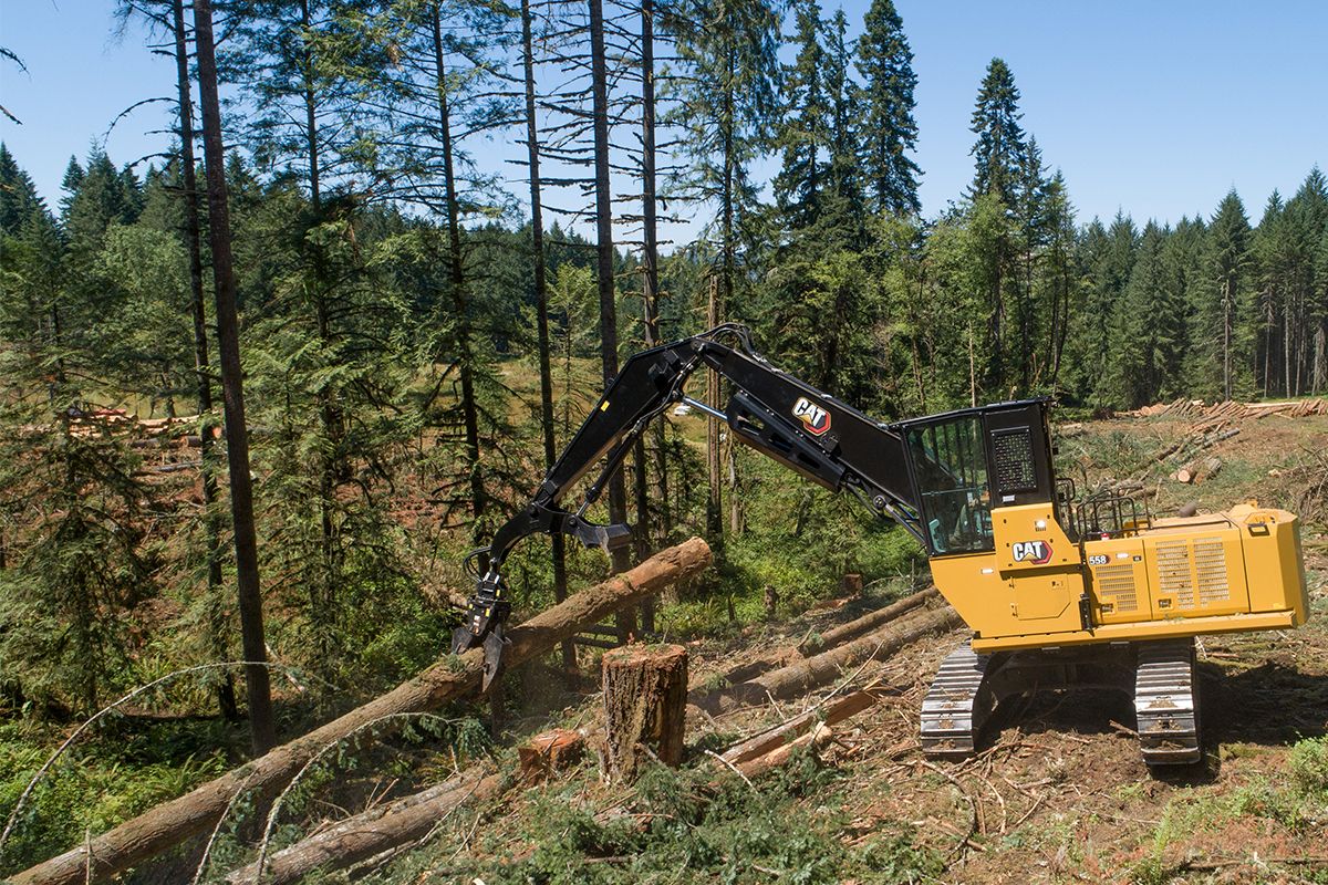 Forest tools and equipment