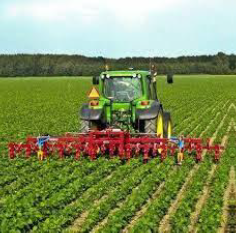 Agriculture