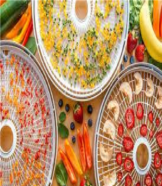 FOPFV503 -DRIED FRUITS AND VEGETABLES MAKING