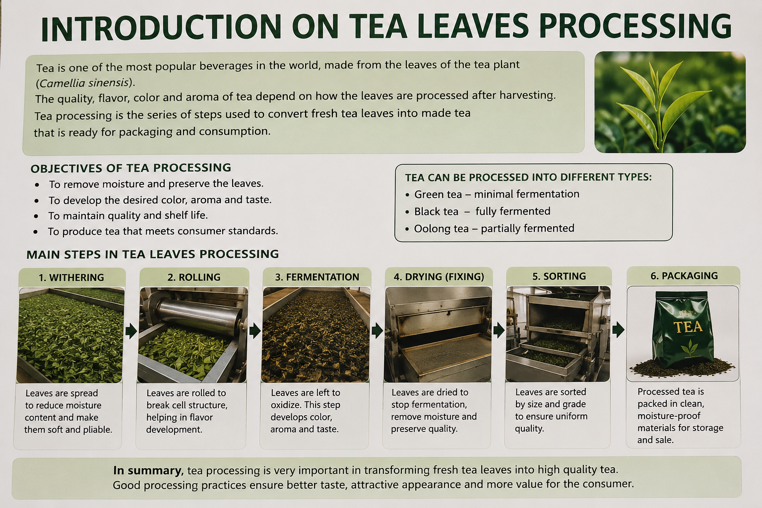 FOPTP503-TEA LEAVES PROCESSING
