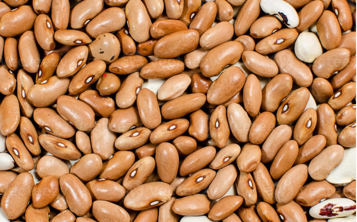 AGRSM402: SEED MULTIPLICATION (DOROTHEE)