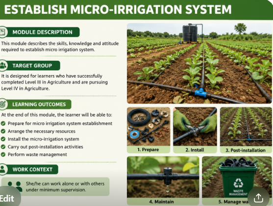 ESTABLISH MICRO-IRRIGATION SYSTEM (Venant)