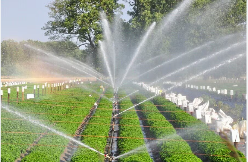 MICRO IRRIGATION SYSTEM