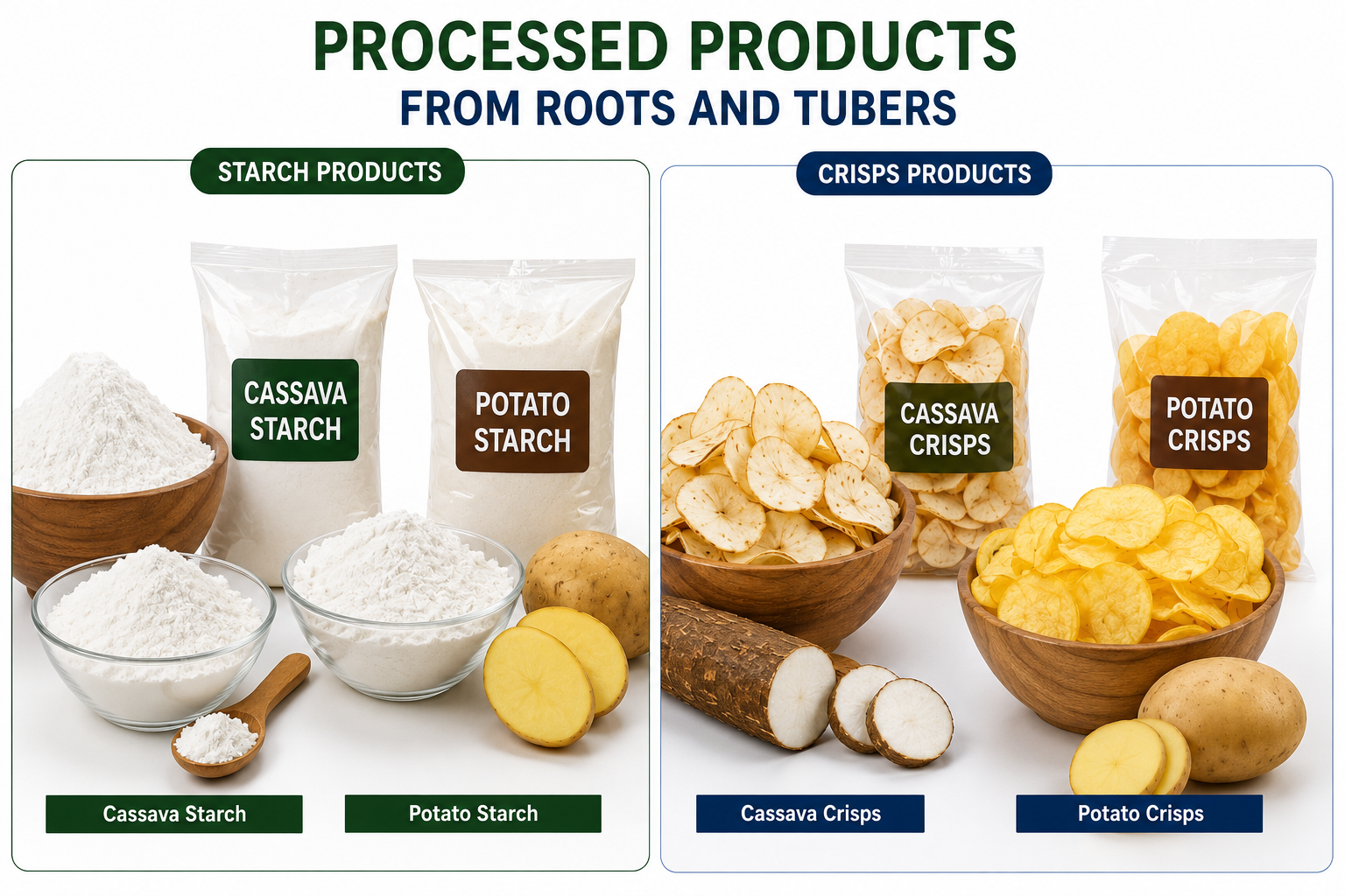 Roots and Tubers Processing into Starch & Crisps