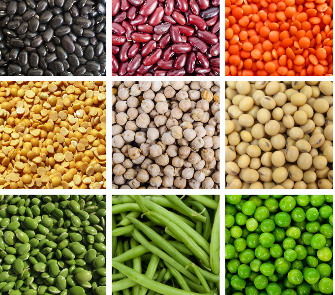 AGRLG302: _LEGUMES GROWING