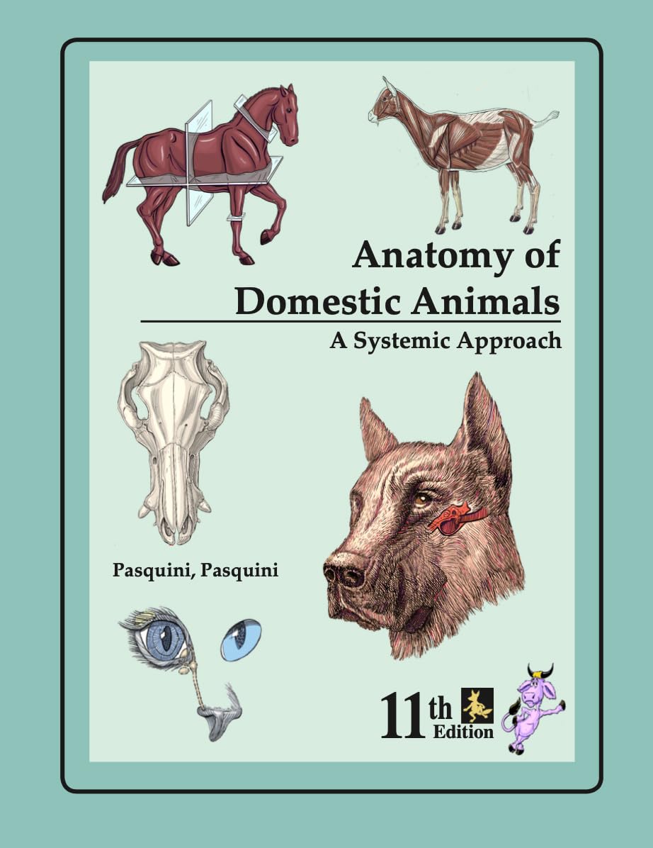 Domestic Animal Body Description copy 1
