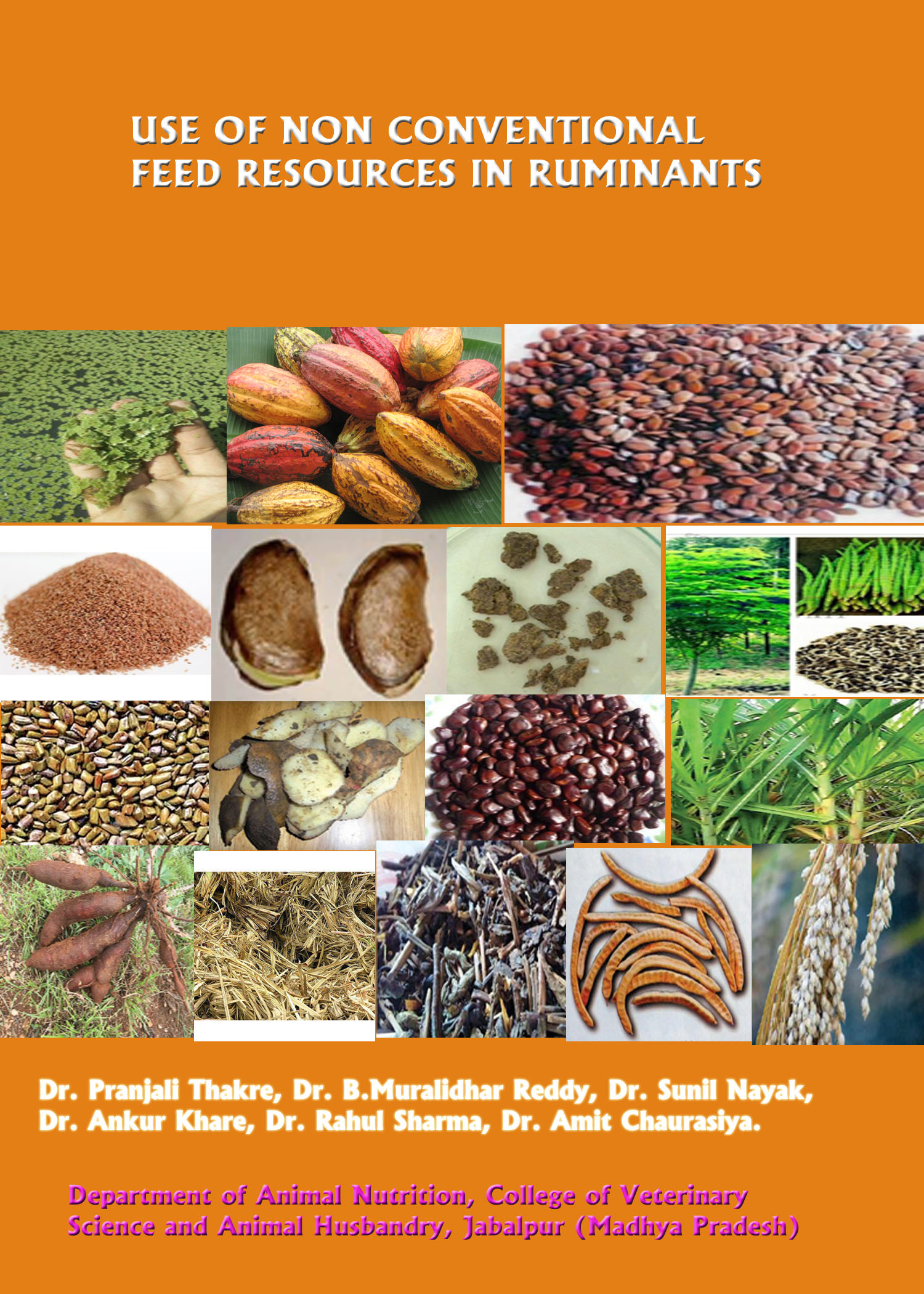 CONCENTRATE FEED PREPARATION AND DISTRIBUTION