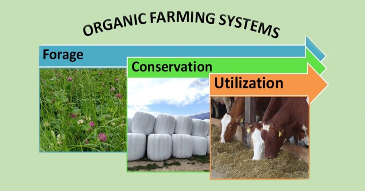 FODDER CROPS CONSERVATION AND DISTRIBUTION copy 1