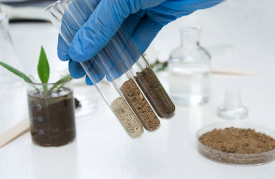 BASIC KNOWWLEDGE OF SOIL SCIENCE